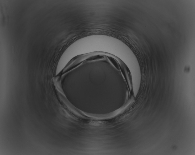 X0000095530231200801041253