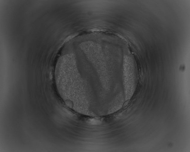 X0000095530232200801041253