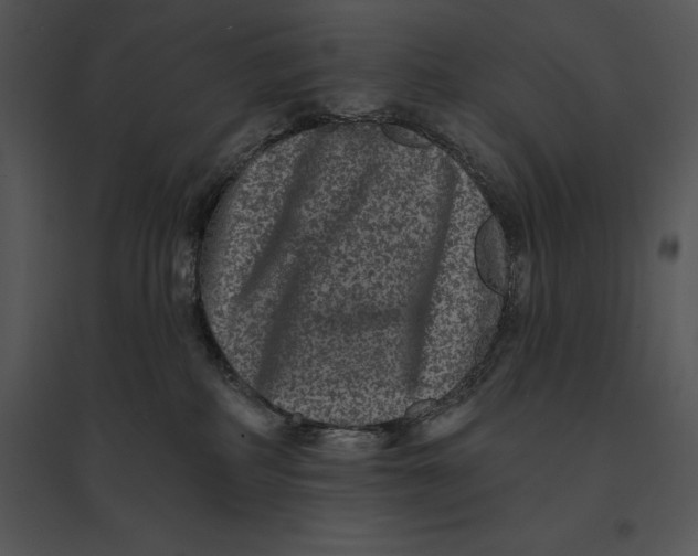 X0000095530234200801041253