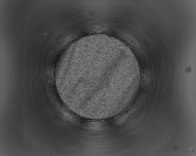 X0000095530236200801041253