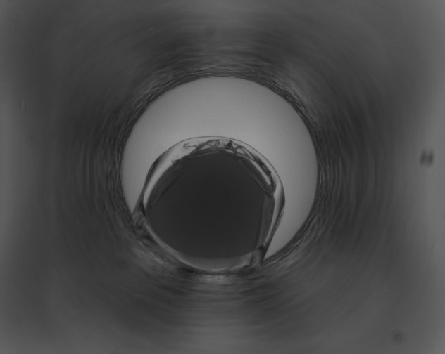 X0000095530237200801041253