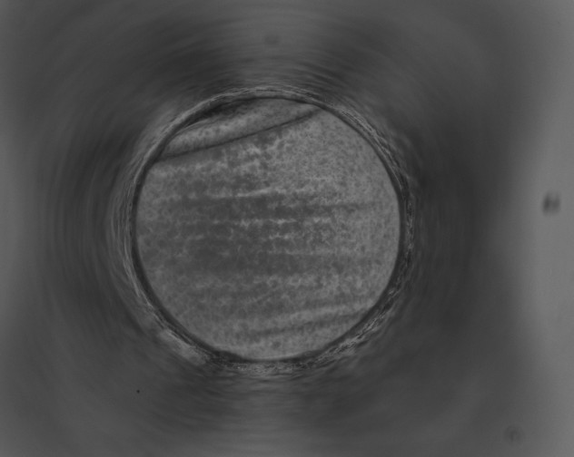 X0000095530241200801041253