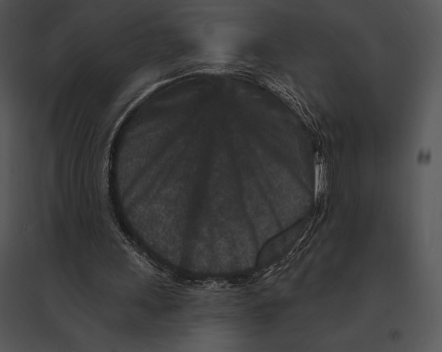 X0000095530243200801041253