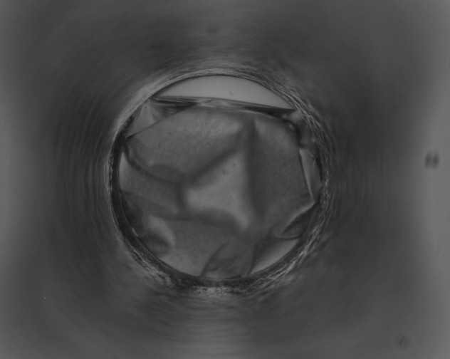 X0000095530244200801041253