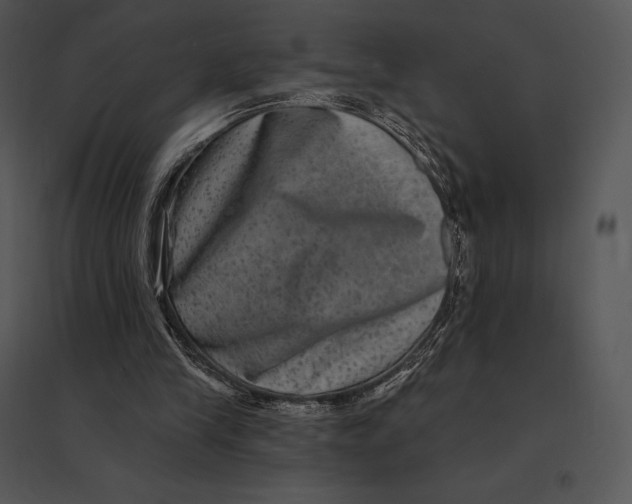 X0000095530245200801041253