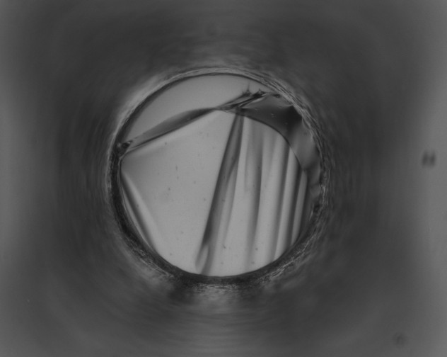 X0000095530248200801041253