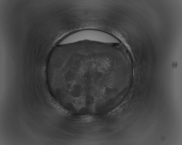 X0000095530249200801041253