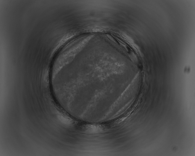 X0000095530250200801041253