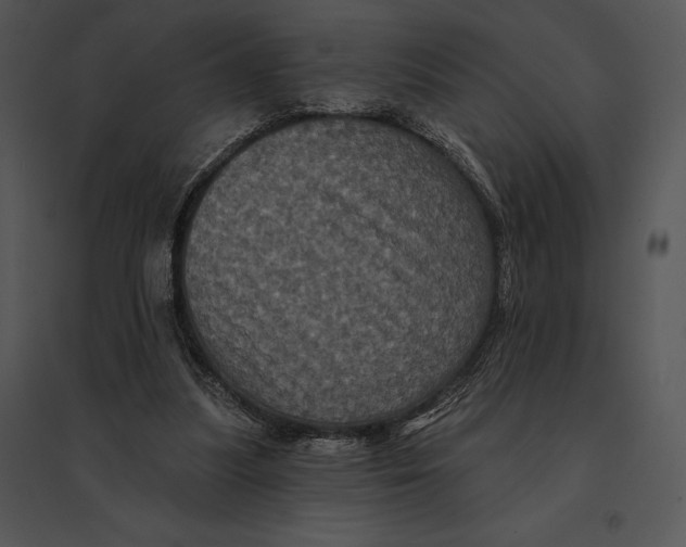 X0000095530251200801041253