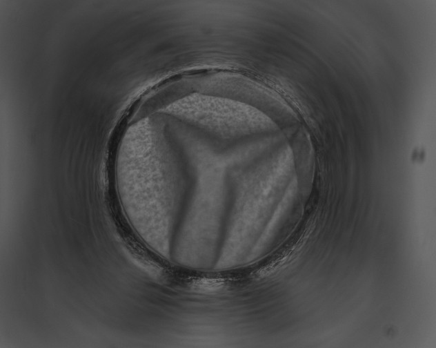 X0000095530252200801041253