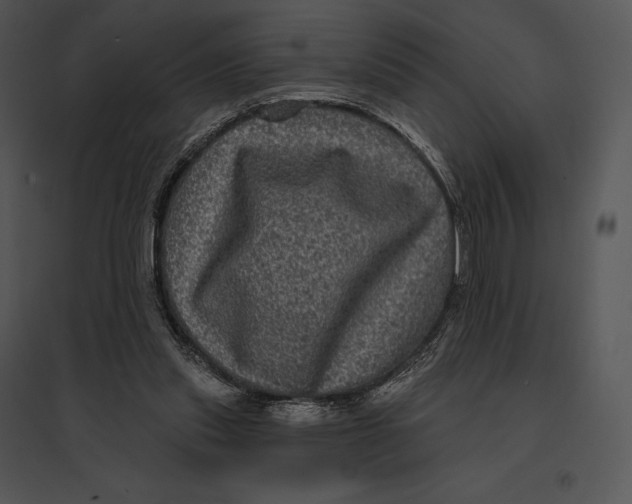 X0000095530253200801041253