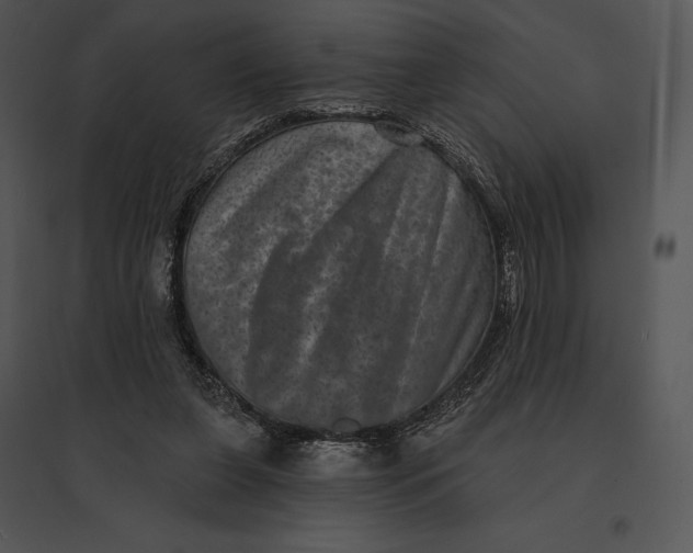 X0000095530255200801041253