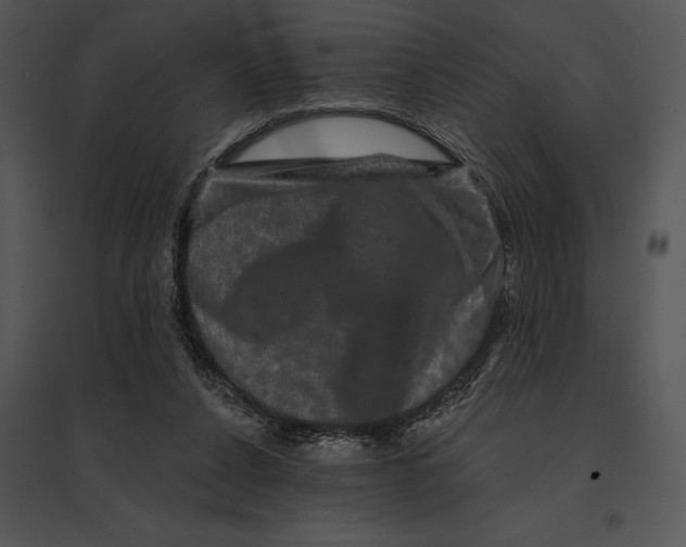 X0000095530256200801041253