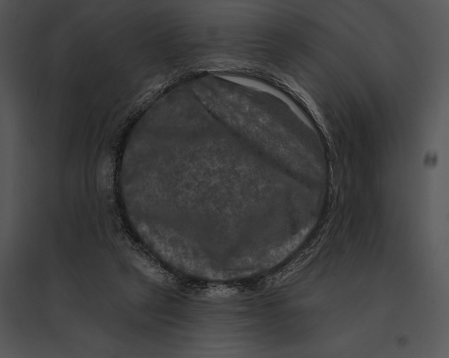 X0000095530257200801041253