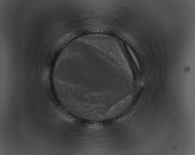 X0000095530258200801041253