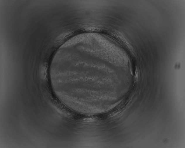 X0000095530259200801041253