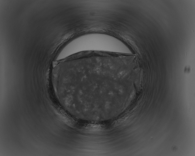 X0000095530260200801041253