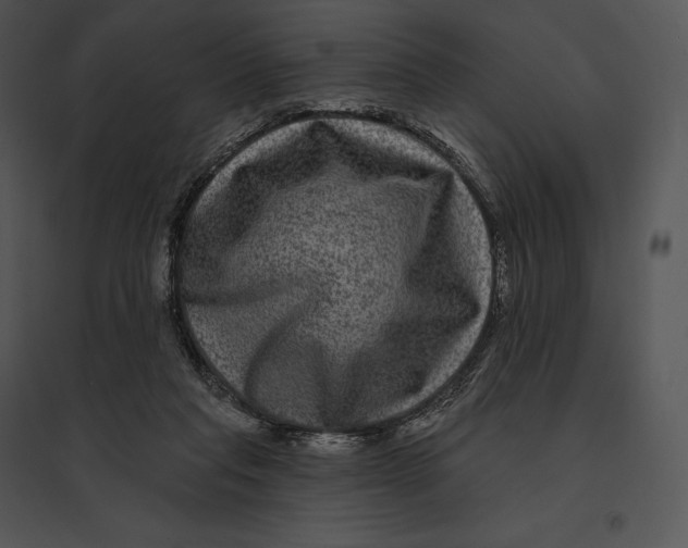 X0000095530261200801041253