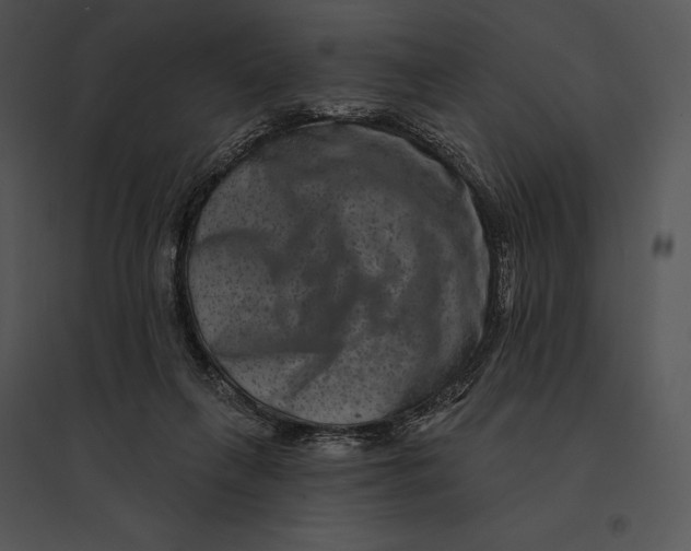 X0000095530263200801041253