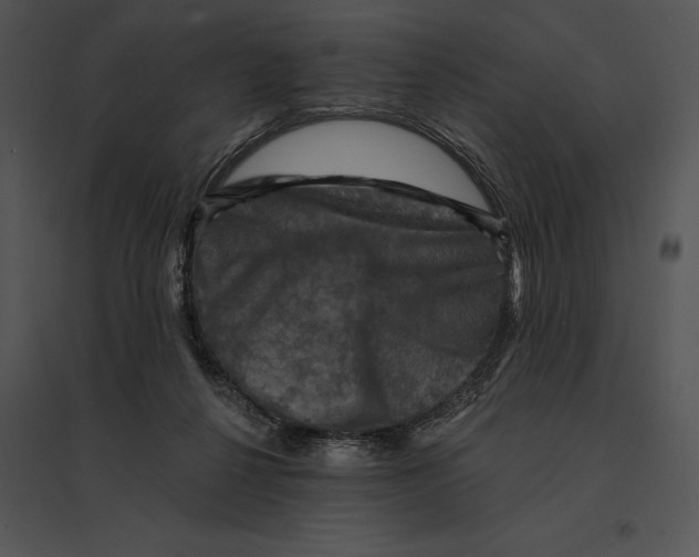 X0000095530264200801041253