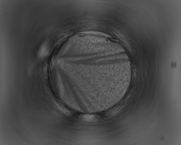 X0000095530265200801041253