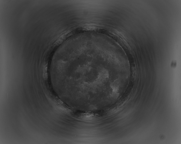 X0000095530267200801041253