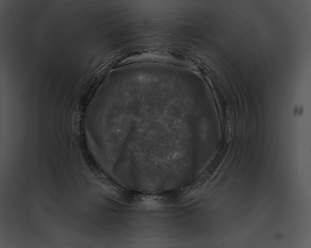 X0000095530268200801041253