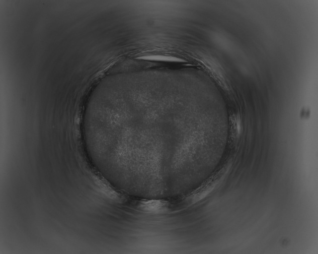 X0000095530269200801041253