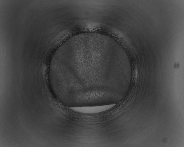 X0000095530270200801041253