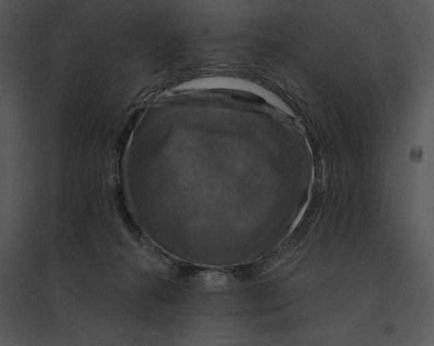 X0000095530272200801041253