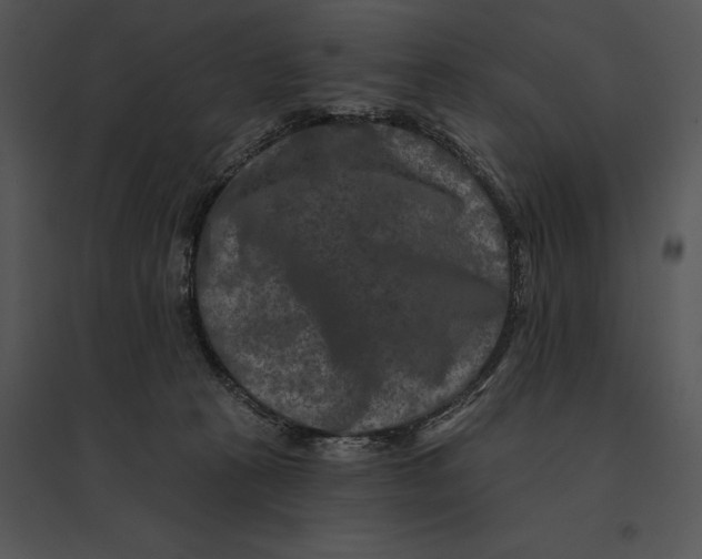 X0000095530273200801041253