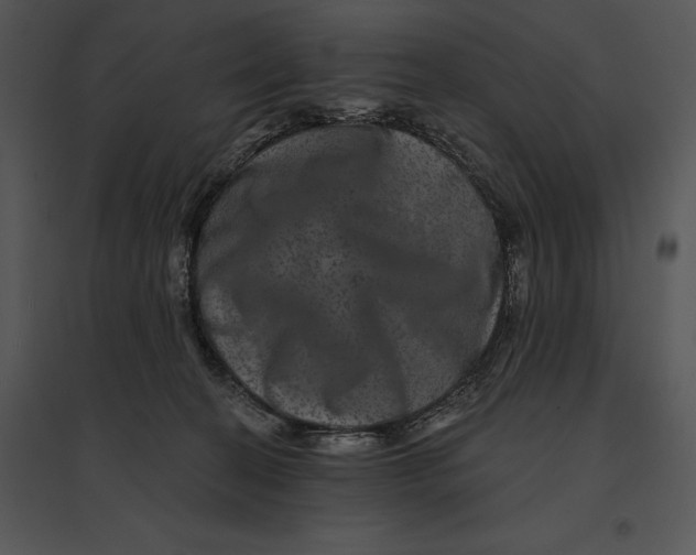 X0000095530274200801041253