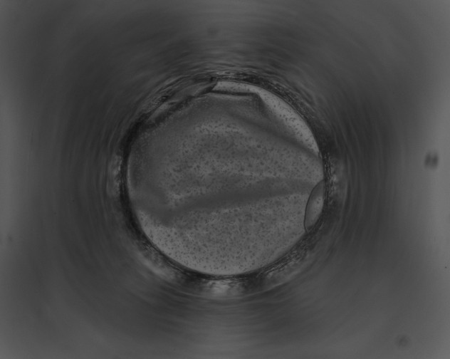 X0000095530275200801041253