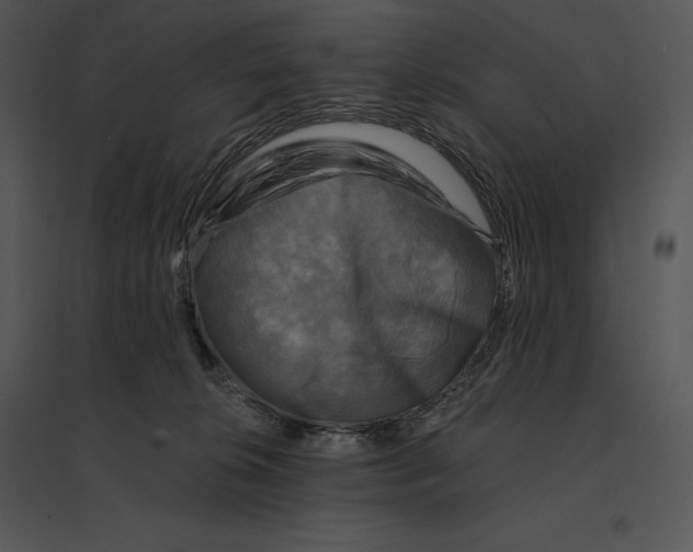 X0000095530276200801041253