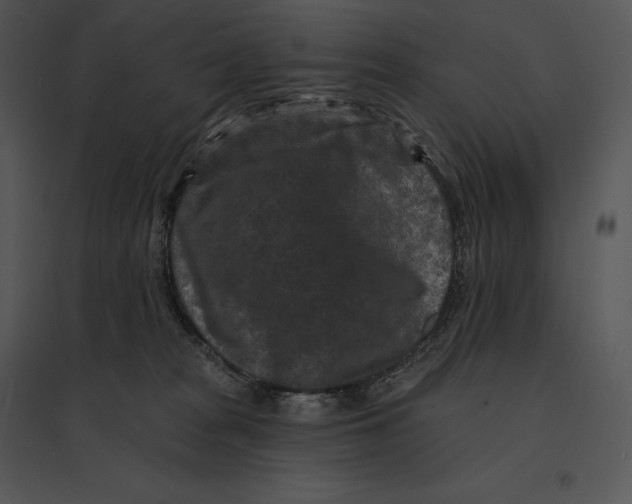 X0000095530277200801041253