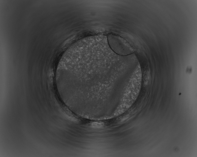 X0000095530279200801041253