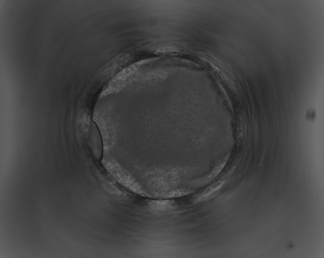 X0000095530281200801041253