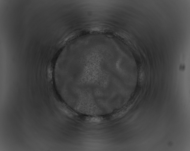 X0000095530282200801041253