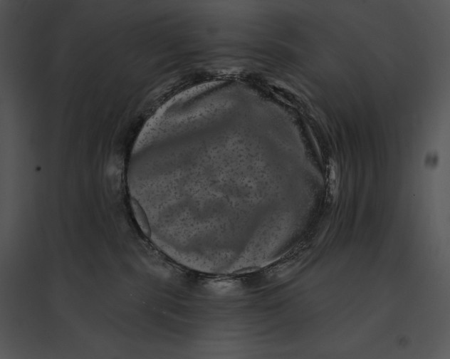 X0000095530283200801041253