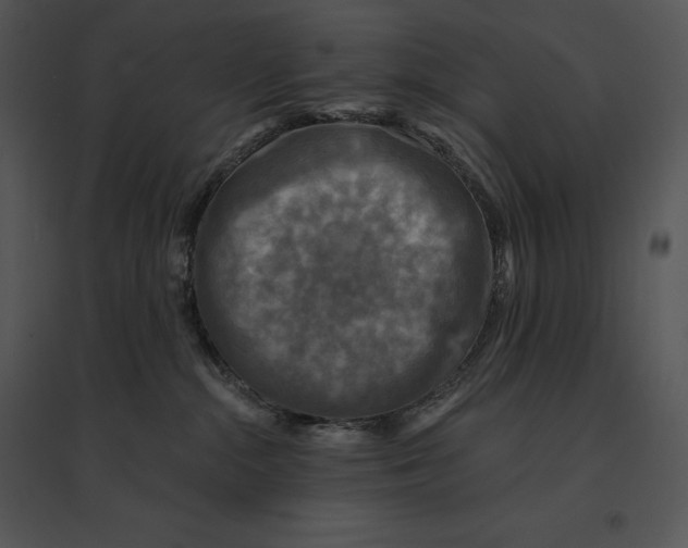 X0000095530284200801041253