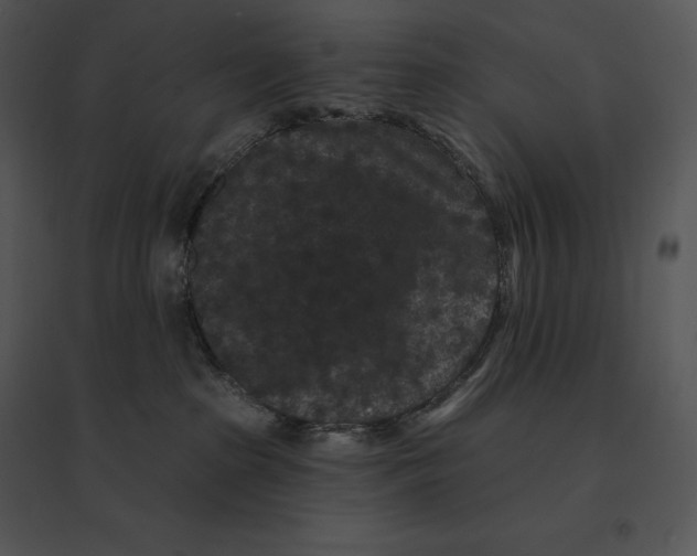 X0000095530285200801041253