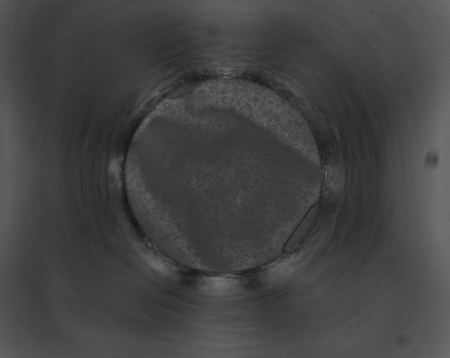 X0000095530286200801041253