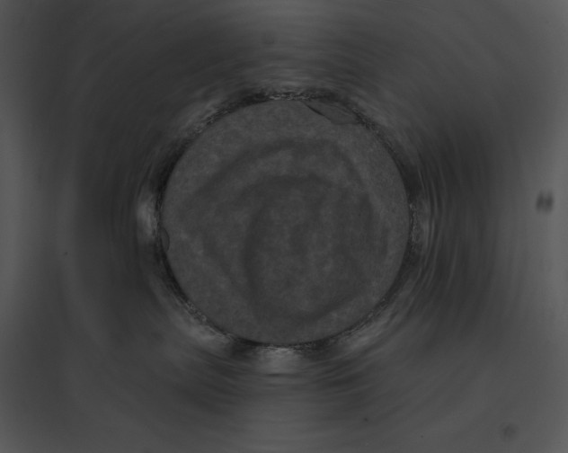 X0000095530287200801041253