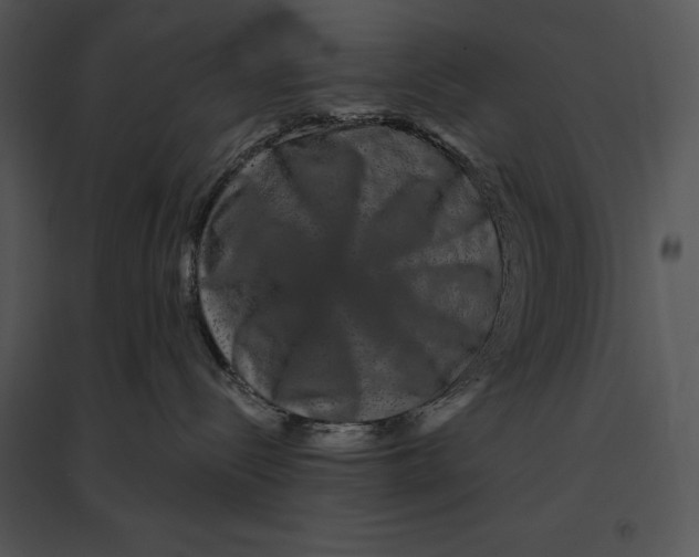 X0000095530288200801041253