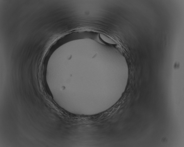 X0000095530289200801041253