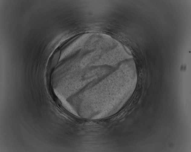 X0000095530290200801041252