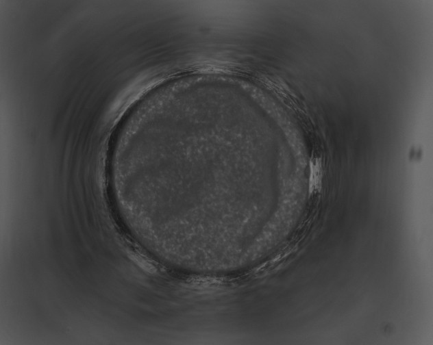 X0000095530291200801041252