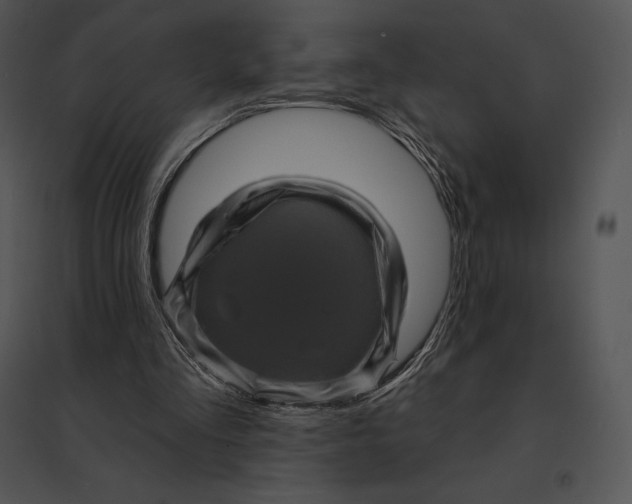 X0000095530293200801041252