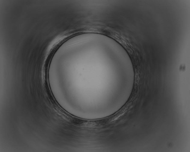 X0000095530294200801041252