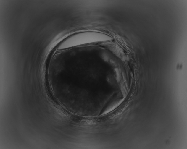 X0000095530295200801041252